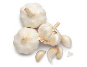 Garlic/